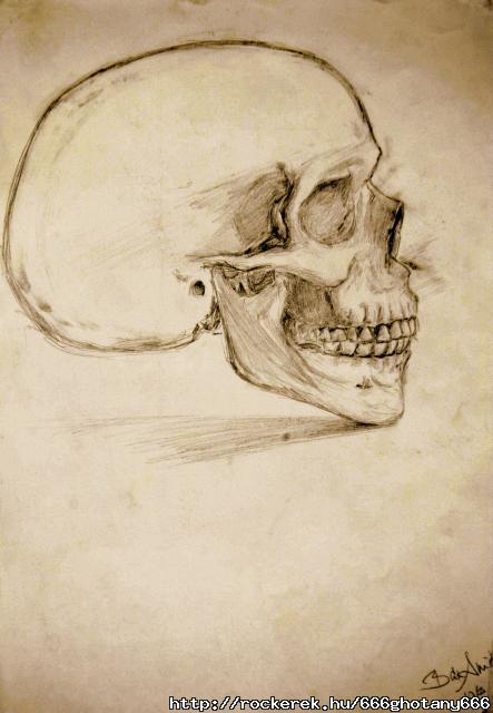 Human skull