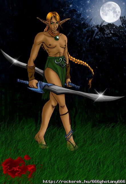 Sword dancing elf