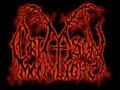 b21ef2ee771ce555829cc84a0aae8d05--black-metal-moonlight