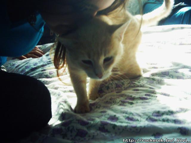 puszi.neki :)