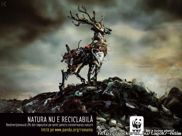 wwf