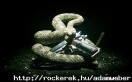 adamweber