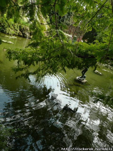 Margit-sziget ahogy n ltom (11.)
