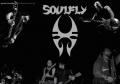 Soulfly