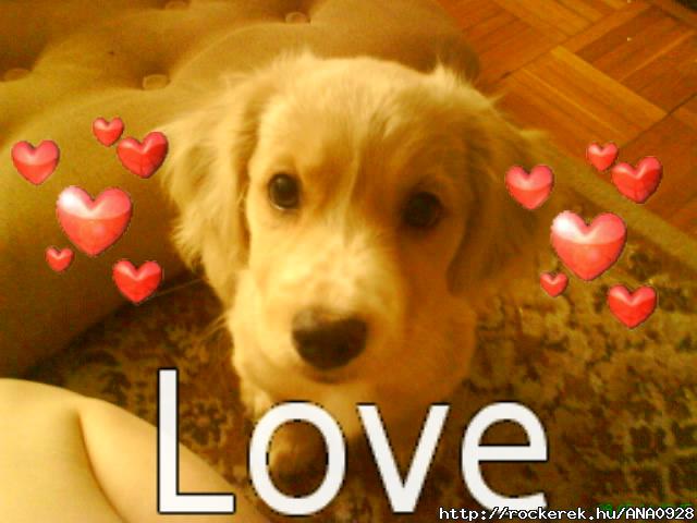 Kicsim! :)
