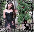Andix(Black Cat)
