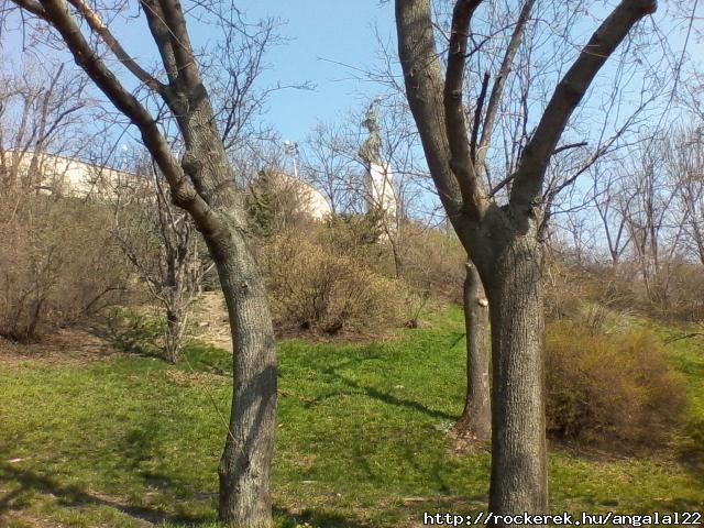 IMG_20140314_114514