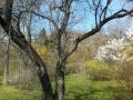 IMG_20140314_114012