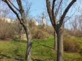 IMG_20140314_114514