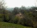 IMG_20140314_114610_01