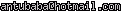 msn