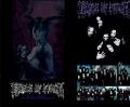 Cradle Of Filth