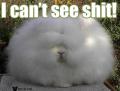 cant_see