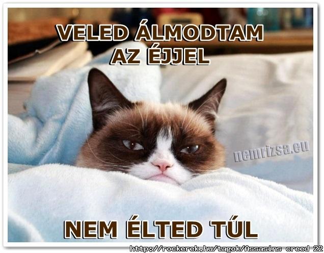 grumpy-cat