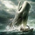 moby-dick