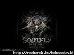 soulfly