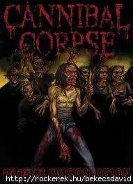 images (7)