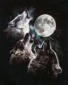 3wolfmoon