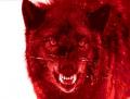 redwolf