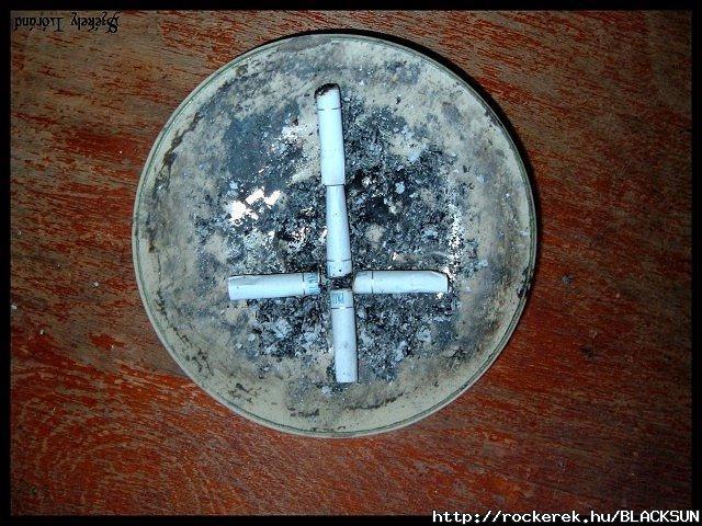 Sajt - 2