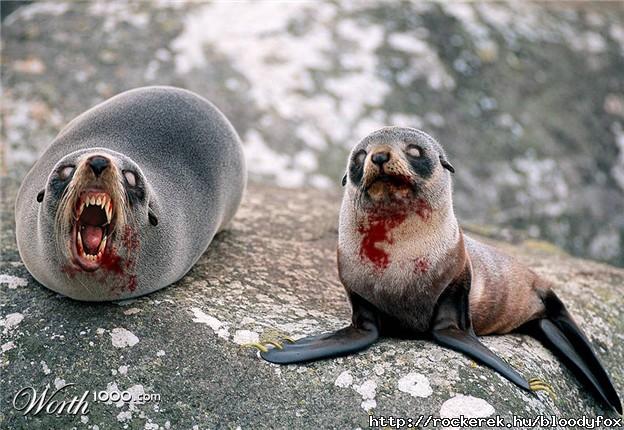 zombie seals
