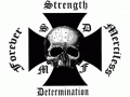 Bls