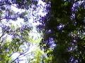SP_A0719