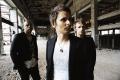 muse-main