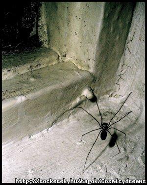 ___phobia_by_andreea10