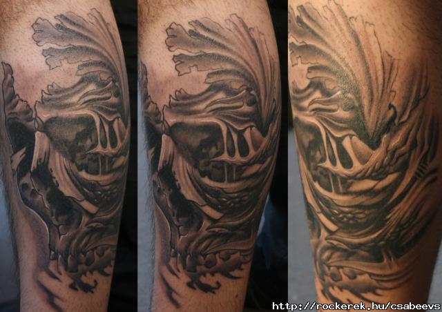 Skull BIO