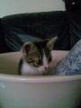 Mi van ott?? o.0  ^^