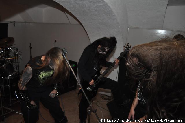 Extreme Noise Fest