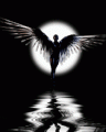 dark