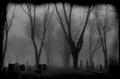 Foggy_Graveyard_by_BlackHive