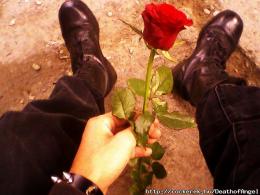 DeathofAngel