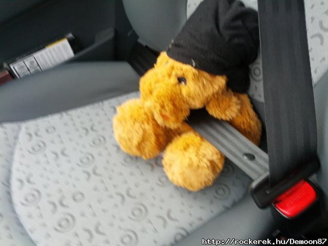 Rudolf als mitfahrer! :)
