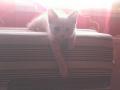 DSC00222
