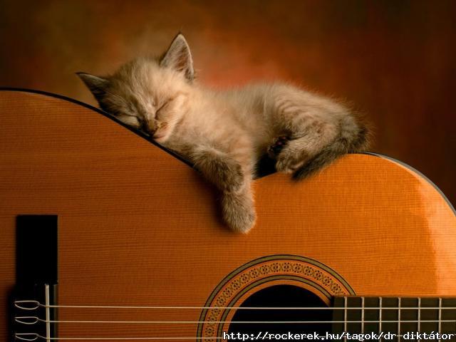 gitar-es-a-cica