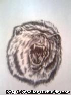 10._medve[1]