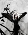 angel_06