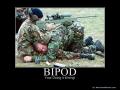 bipod