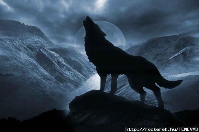 Dark Wolf