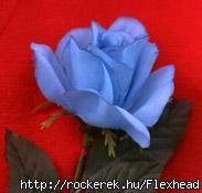 Blue Rose