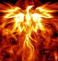 FantasyFirePhoenix