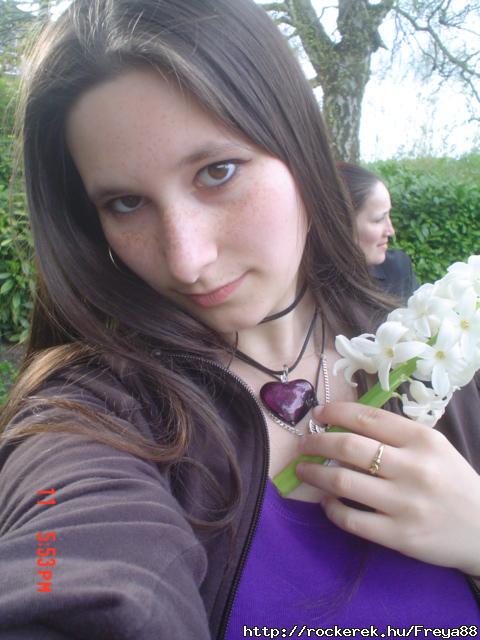 DSC05384