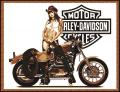 myspace-harley-davidson-comments-5