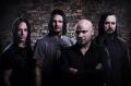 disturbed