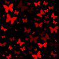 red-butterfly-black-layout