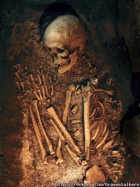 skeleton