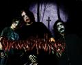 Gravestalkers